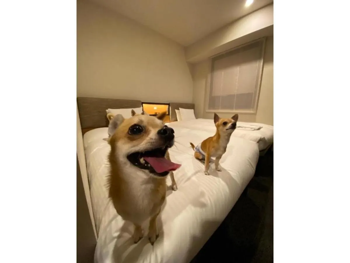 Ici Hotel Asakusabashi - Vacation Stay 69309V Tokyo
