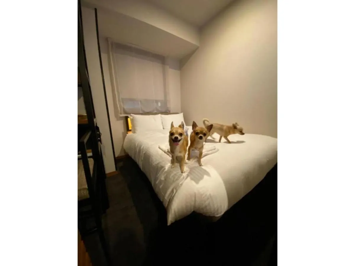 Ici Hotel Asakusabashi - Vacation Stay 69309V طوكيو
